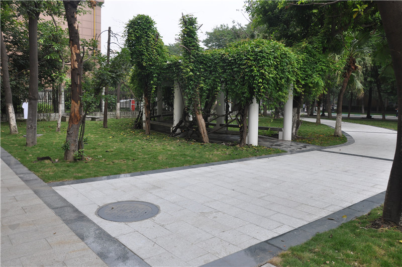 西南民族大学武侯校区风雨操场附属用房周边道路维修改造工程